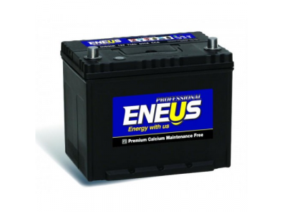 Аккумулятор 6ст - 100 (Eneus) Professional 115D31L - оп